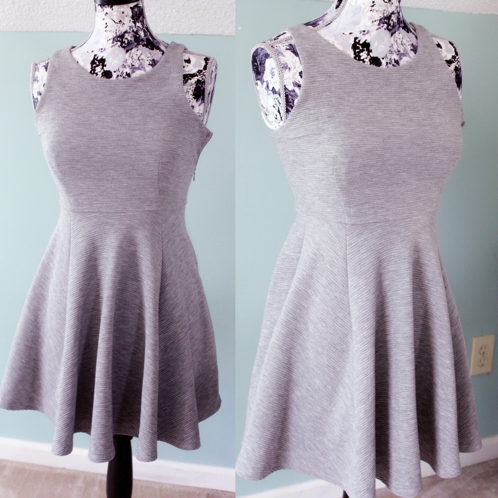 Gray Skater Dress Altar'd State